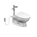 フラッシュバルブ式便器(低リップ大便器)