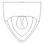 UFH507CR_G201645_B1.DXF